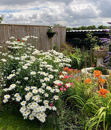 sensory_garden